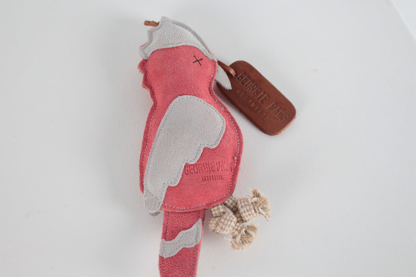 Gav the Galah