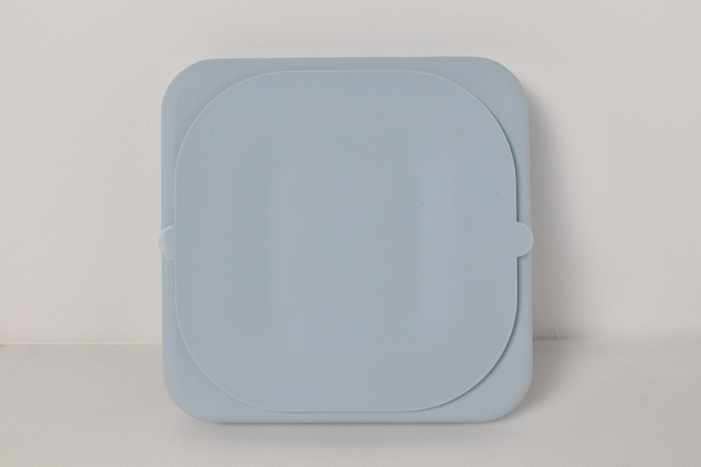 The Slow Snout (Ocean Mist)