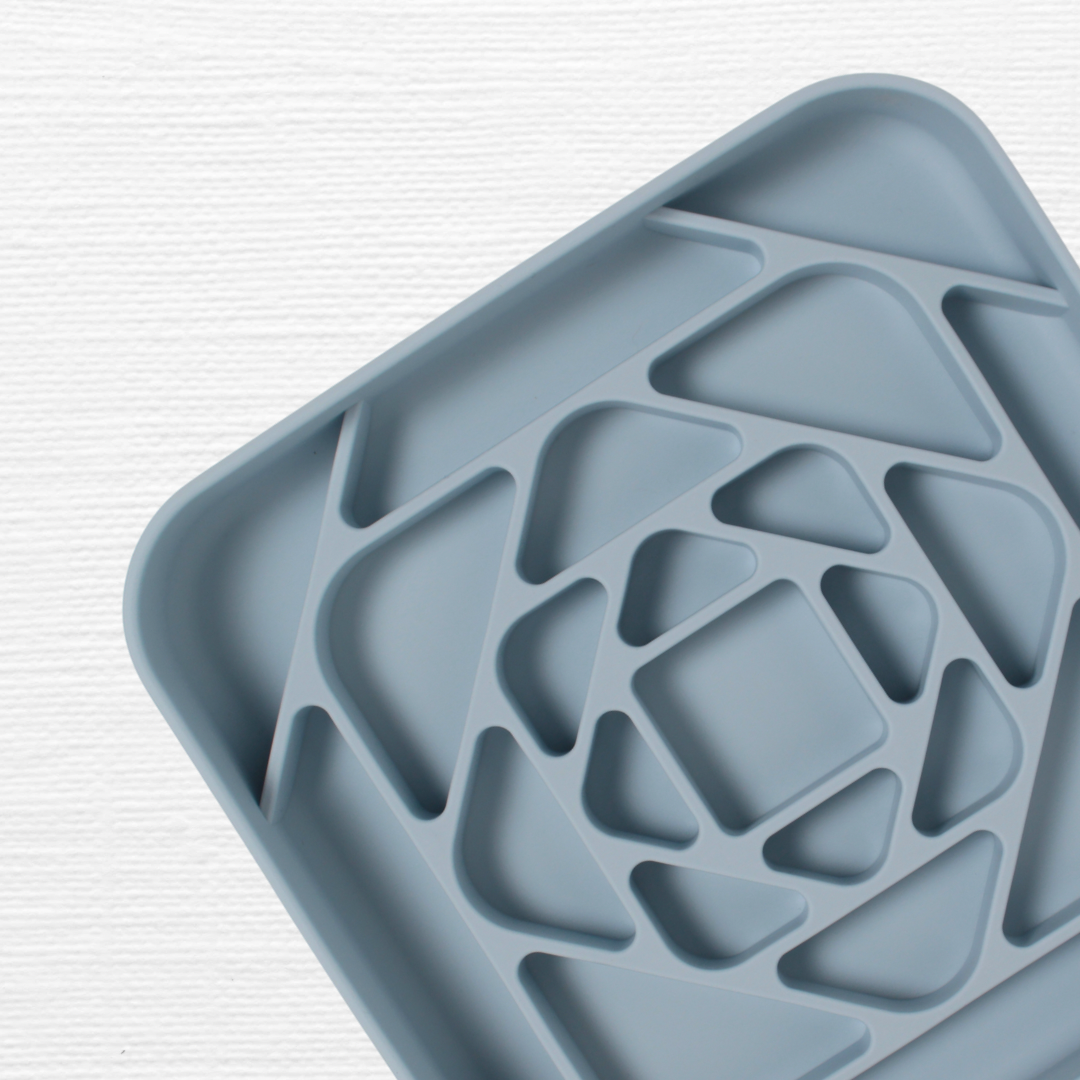 The Slow Snout (Ocean Mist)